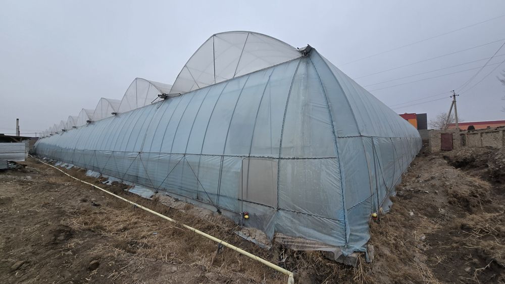 Иссикхона, теплица ер орни билан сотилади