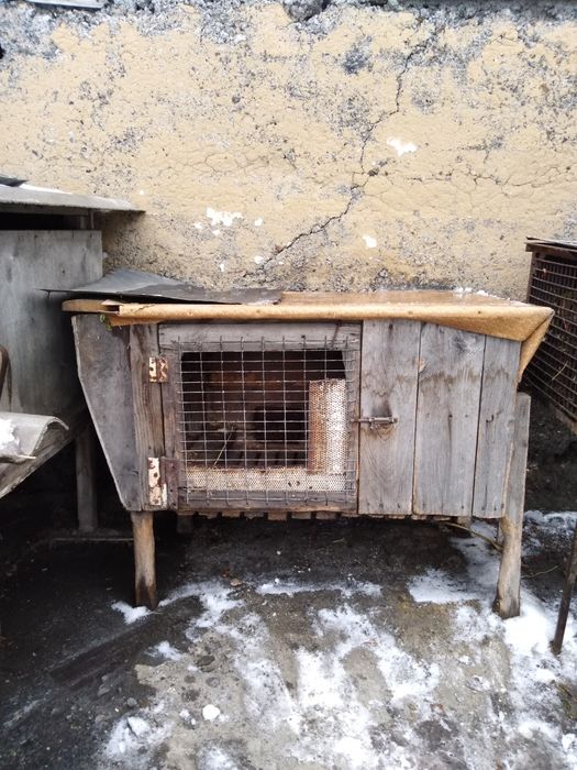 Клетки для кроликов