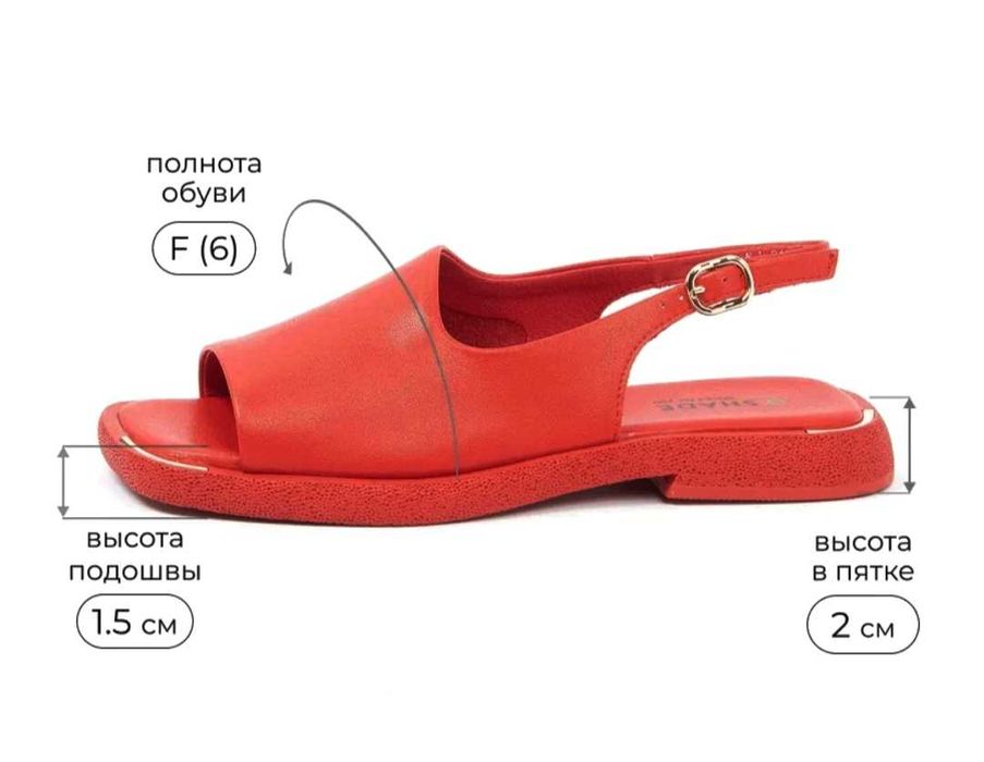Натур.Кожа Босонож,Сланцы.Новые