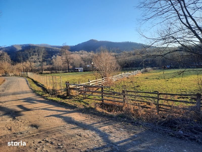 Terenuri intravilane Șinca Nouă 17.756 mp - licitatie insolventa