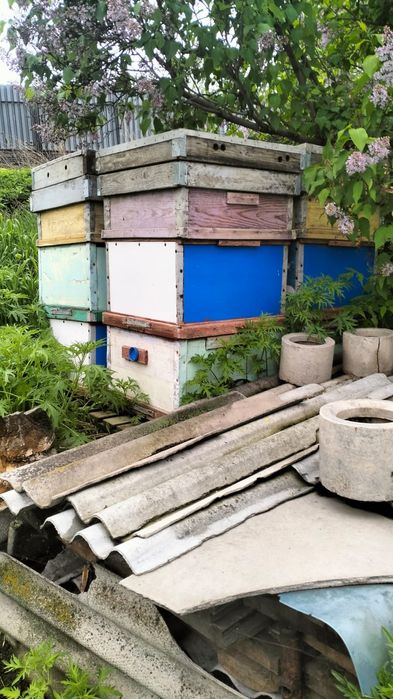 Продам ульи для пчел