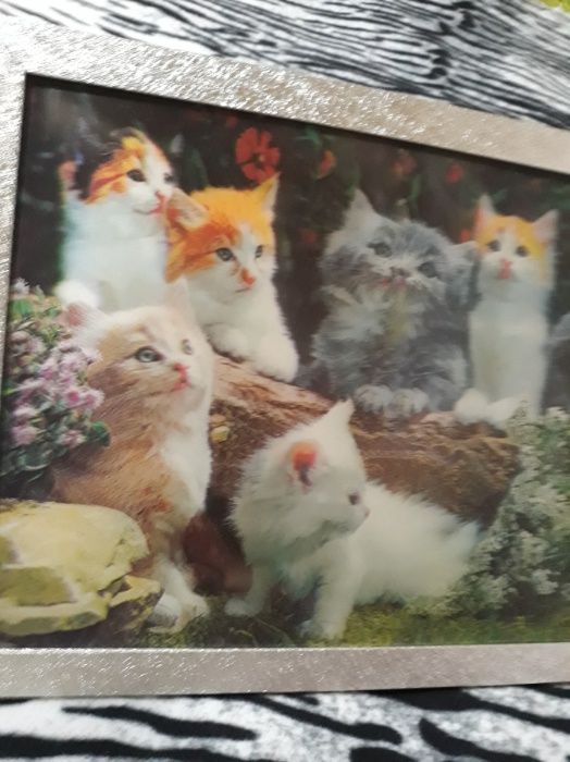 4 D -Нова Картина