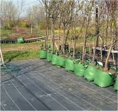 FOLIE MULCIRE/AntiBuruieni-AGROTEXTIL 1x100-230 lei;1 x 50m - 130lei