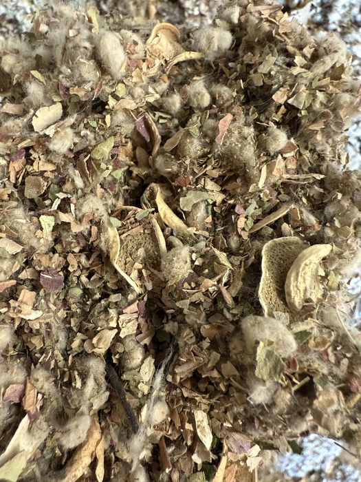 Мақта қауашағы, жүнгерек