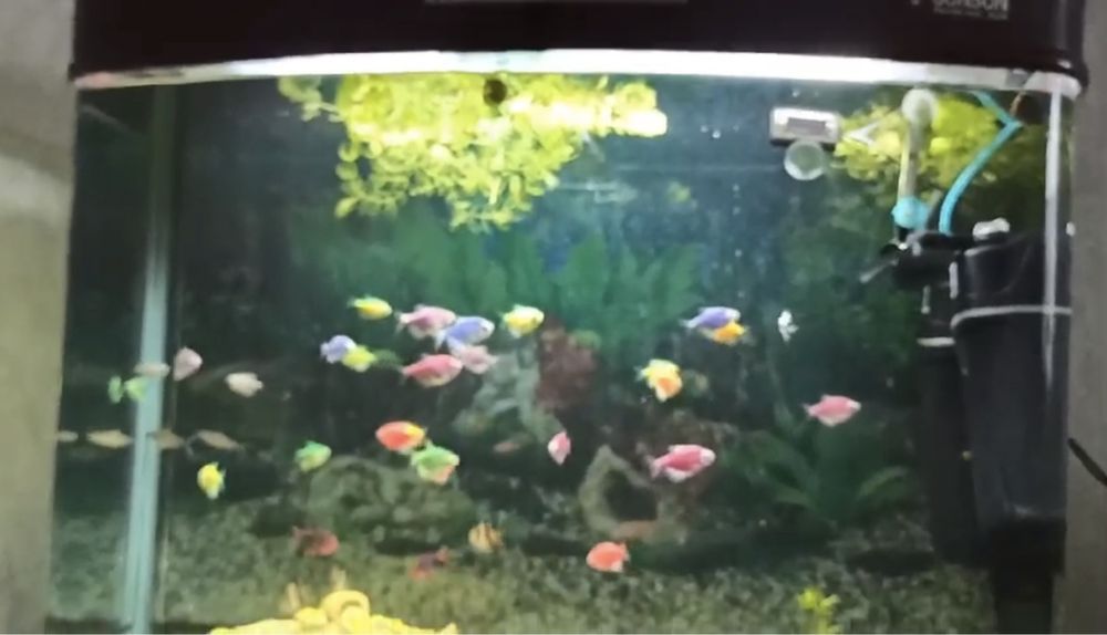 Аквариум 200литров