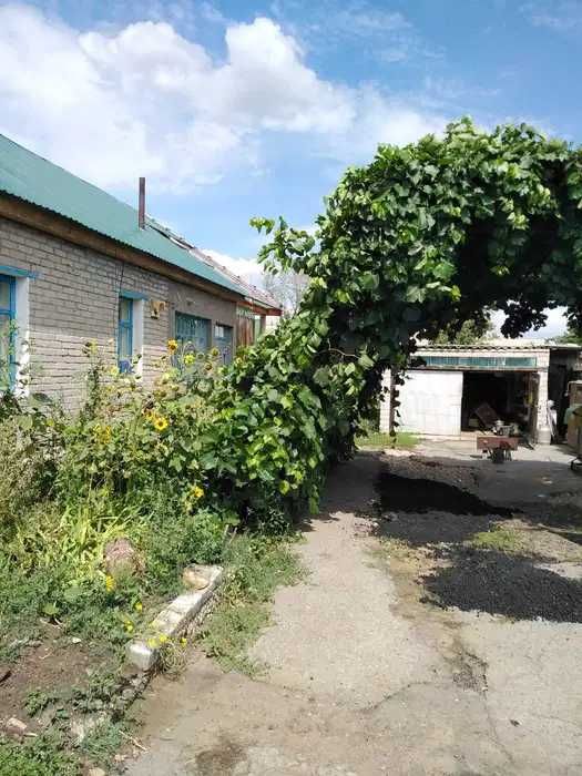 Продам дом в с. Аулиеколь