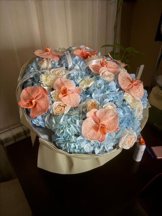 Продам цветы desso 06.01.26