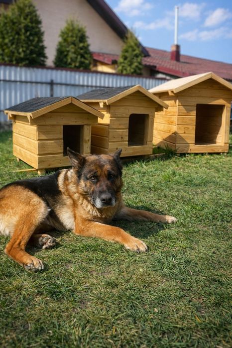 Cușca câine  pe comanda !