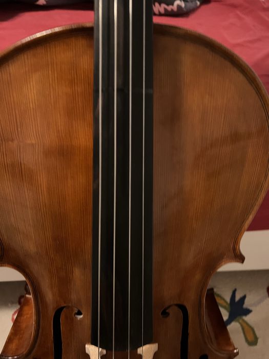 Violoncel 4/4.