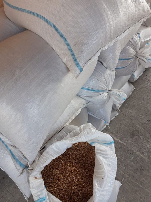 Sămânță de maturi pentru semănat