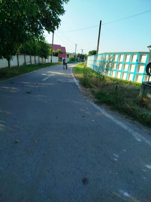 Teren intravilan de vanzare, Ruginoasa, apriape de DN