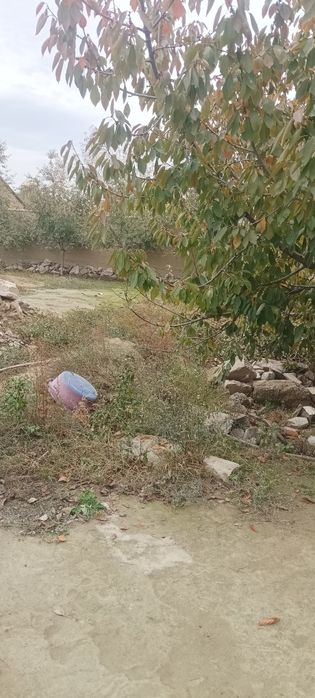 Jizzax Shahar Hamid Olimjon Toqchiliq