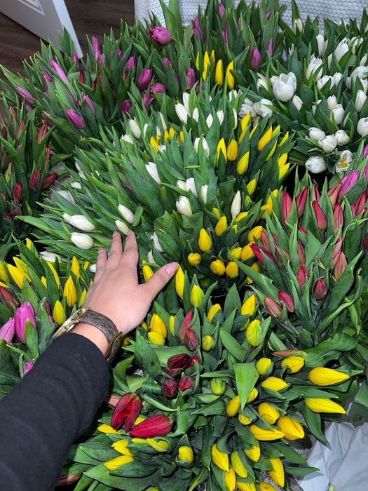 Тюльпаны оптом на 8марта