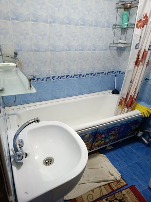 40-лет тузел-3 только семя 2/3/5/