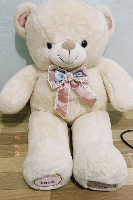 Город Тараз красивый мишка