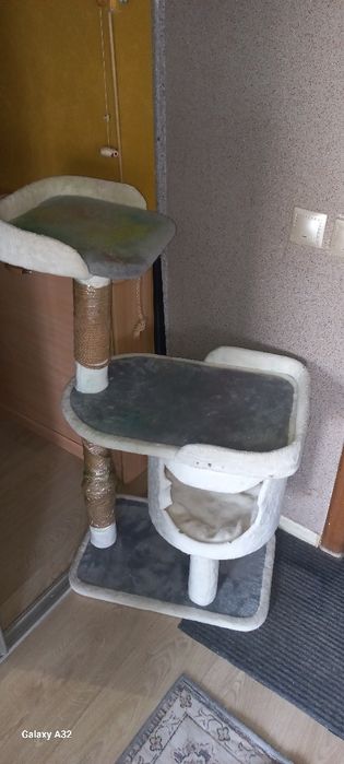 Мысық,Кошкин дом