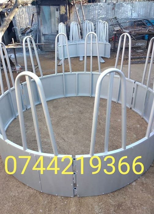 Iesle vaci hrănitoare .,