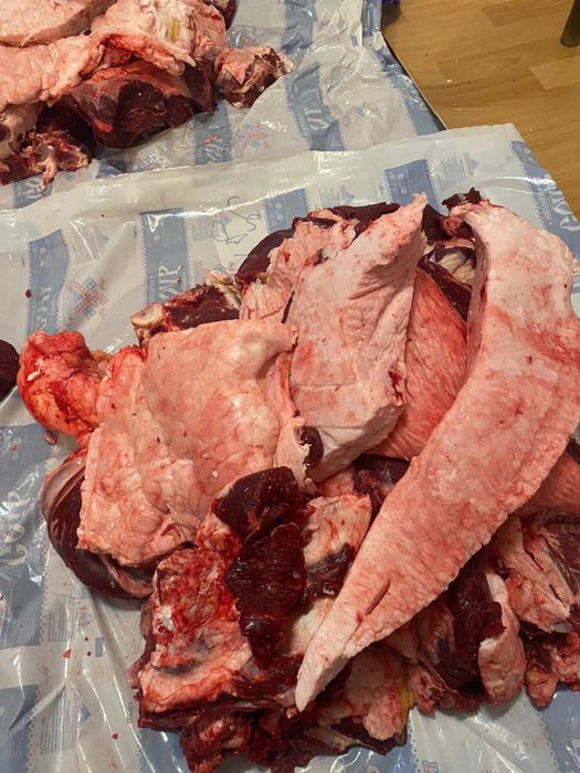 Жас әдемі қыздармен порно