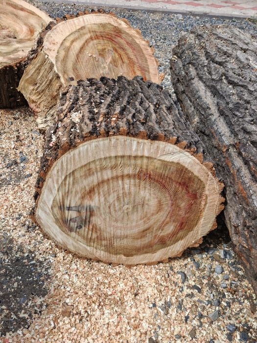 Ағаш шөркелер кесілген сатылады