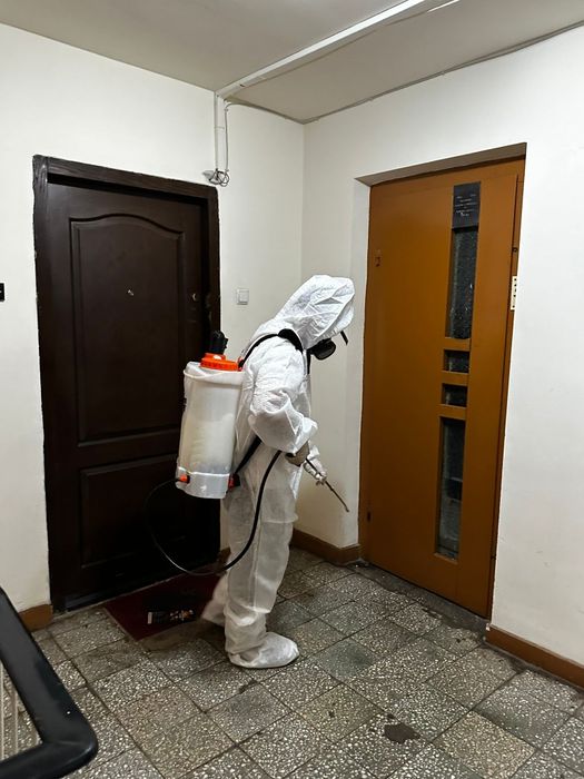 Dezinsecție și deratizare rapida - Plosnite, gândaci, soareci