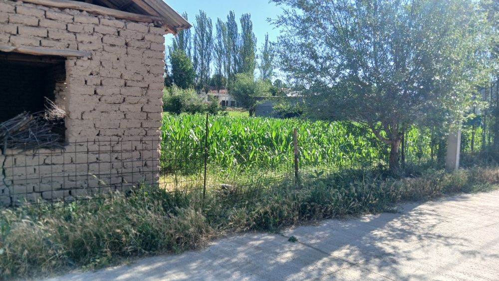 Учаска 14 сотк сотылады срошна