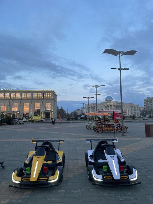 Картинг, электрокартинг, электромобиль