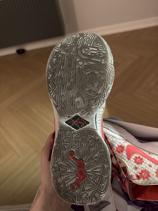 Баскетбольная обувь lebron XX