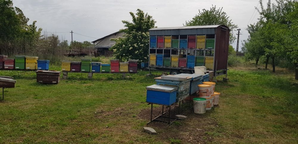 20 stupi de vânzare – echipați complet, gata de utilizare