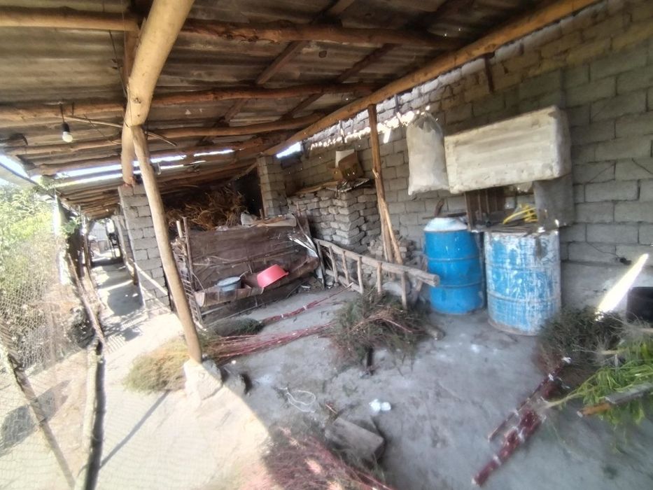 Uchastka sotiladi uyimizi xamma sharoitlari bor