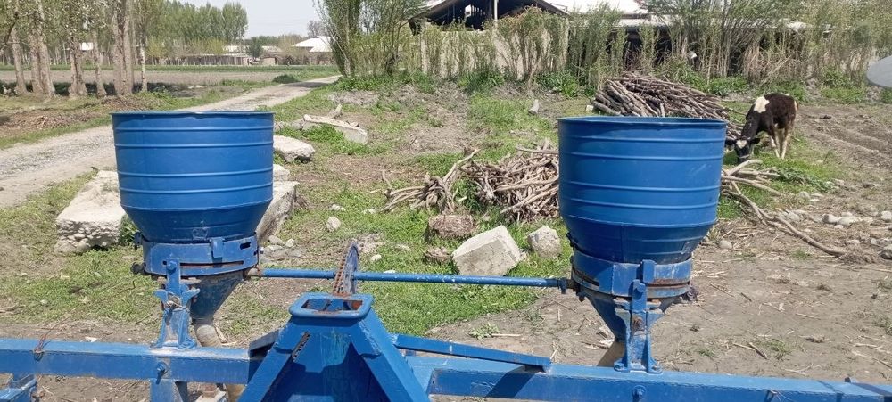 sust 2 dona holati yaxshi