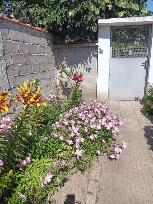 Продава се Къща в с. Цалапица, Област Пловдив - 120 кв.м за 404 €/кв.м - Снимка #1