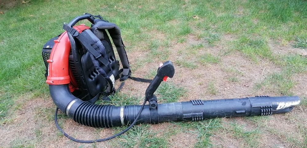 Бензинова духалка за листа echo