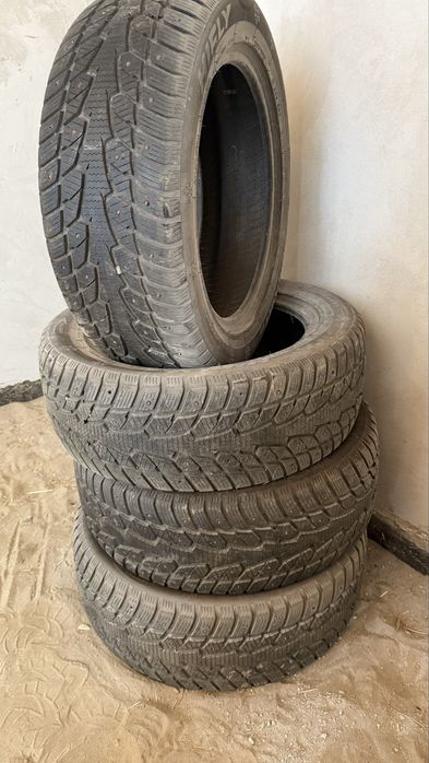 Буу щины 225/55R17