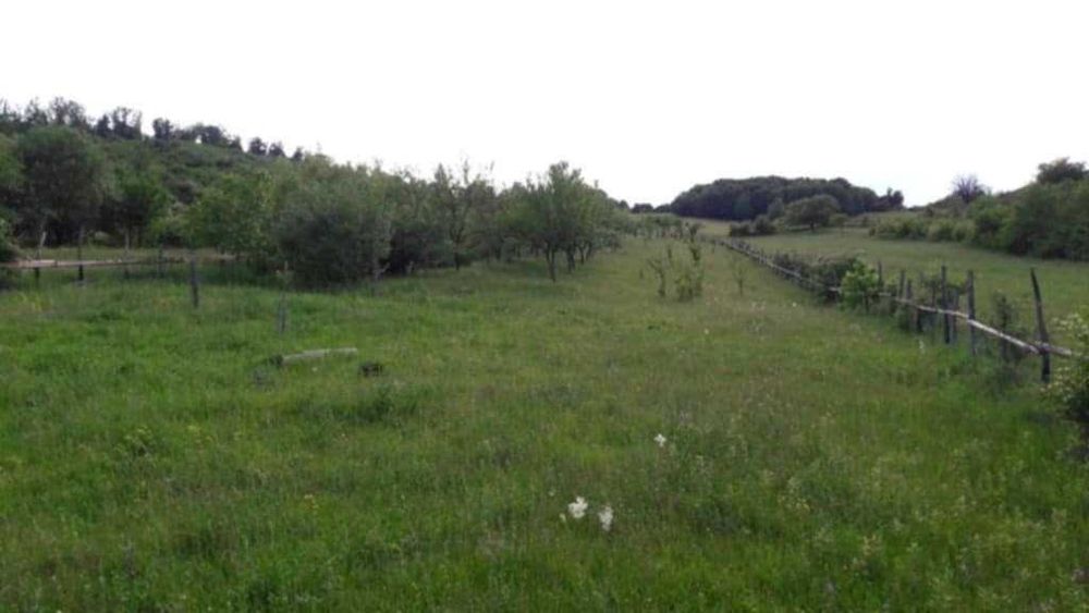 Vând livadă 3600 mp – Sebeșel, jud. Alba