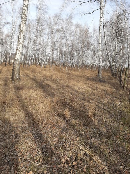 Vânzare teren intravilan