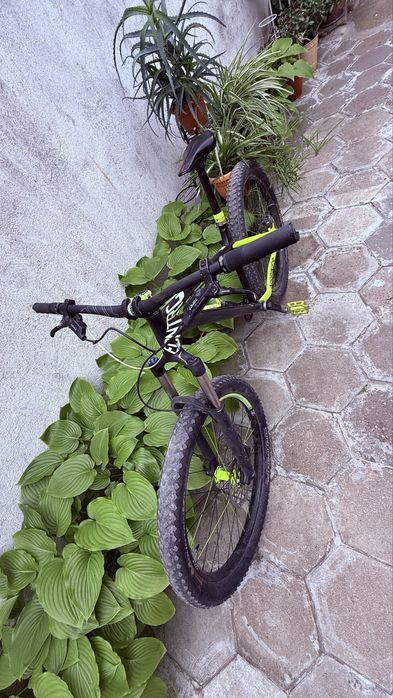 NS Bike Eccentric Djambo 1