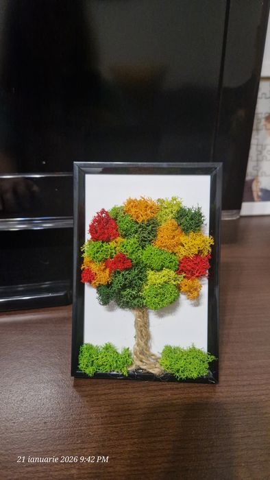 Tablou licheni stabilizati