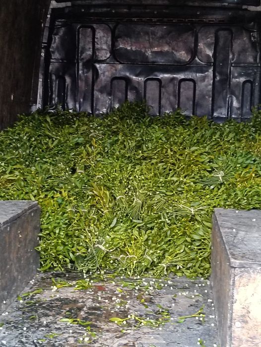 Vând vâsc la buchete