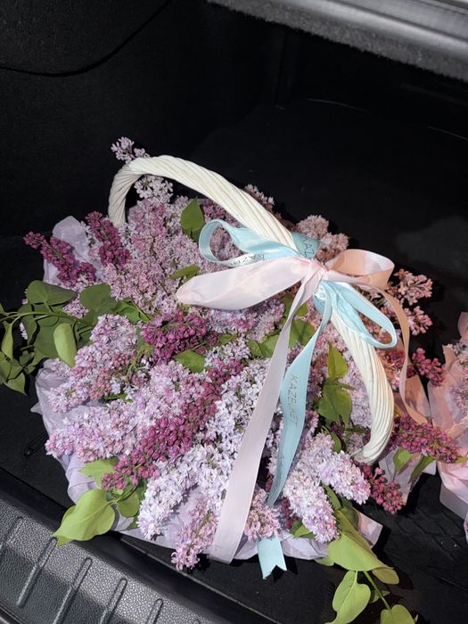 Сирень 10.000 ……………