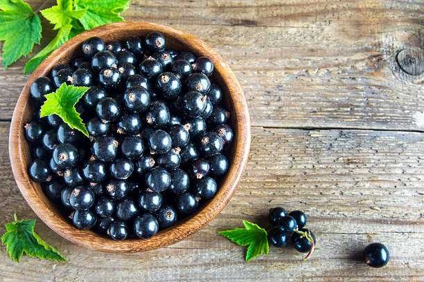 Продам отводки смородины