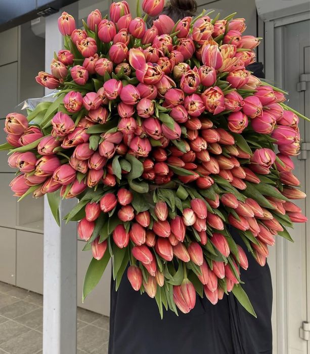 Тюльпаны ОПТОМ по всем регионам РК