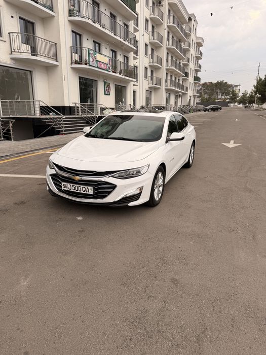 Malibu premier  2021й холти зур