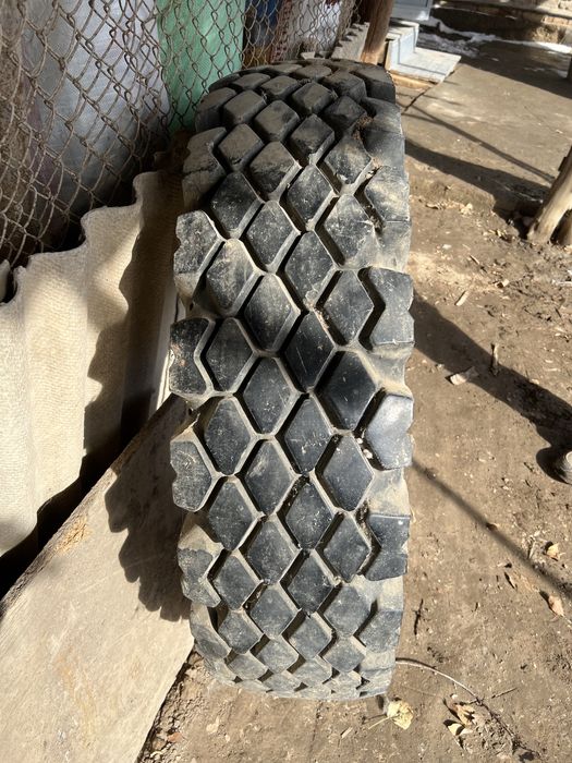 Покрышка Маз балон Маз