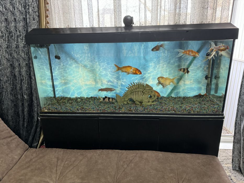 Продам Аквариум на 200литров