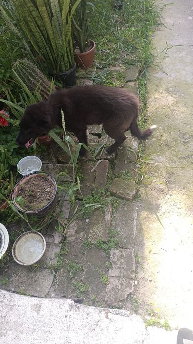 Девочка 4 месяца