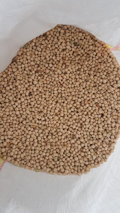 Vând mazăre furajera