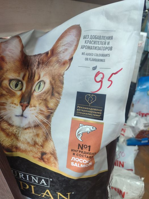 Barcha mushuk kuchuk kormlari mavjud