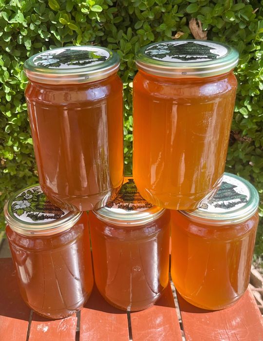 Чист Пчелен Мед от Странджа