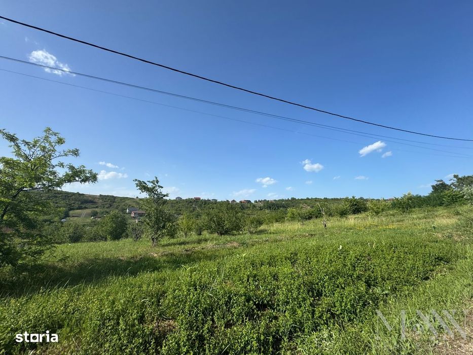 Teren intravilan de vanzare | zona Dealuri Oradea - str. Livezilor