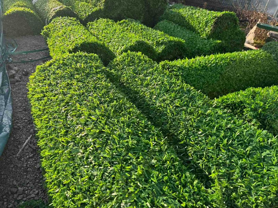 Огради - кв. Суходол, пана, колове, мрежи, врати